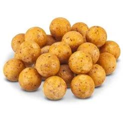 Günstiges Ködergeschäft -Günstiges Ködergeschäft anaconda magist balls 1kg tigernuss 20mm 1